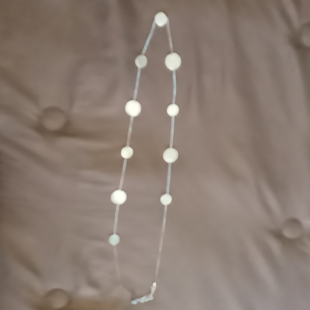 Stitch fix silver long disc necklace